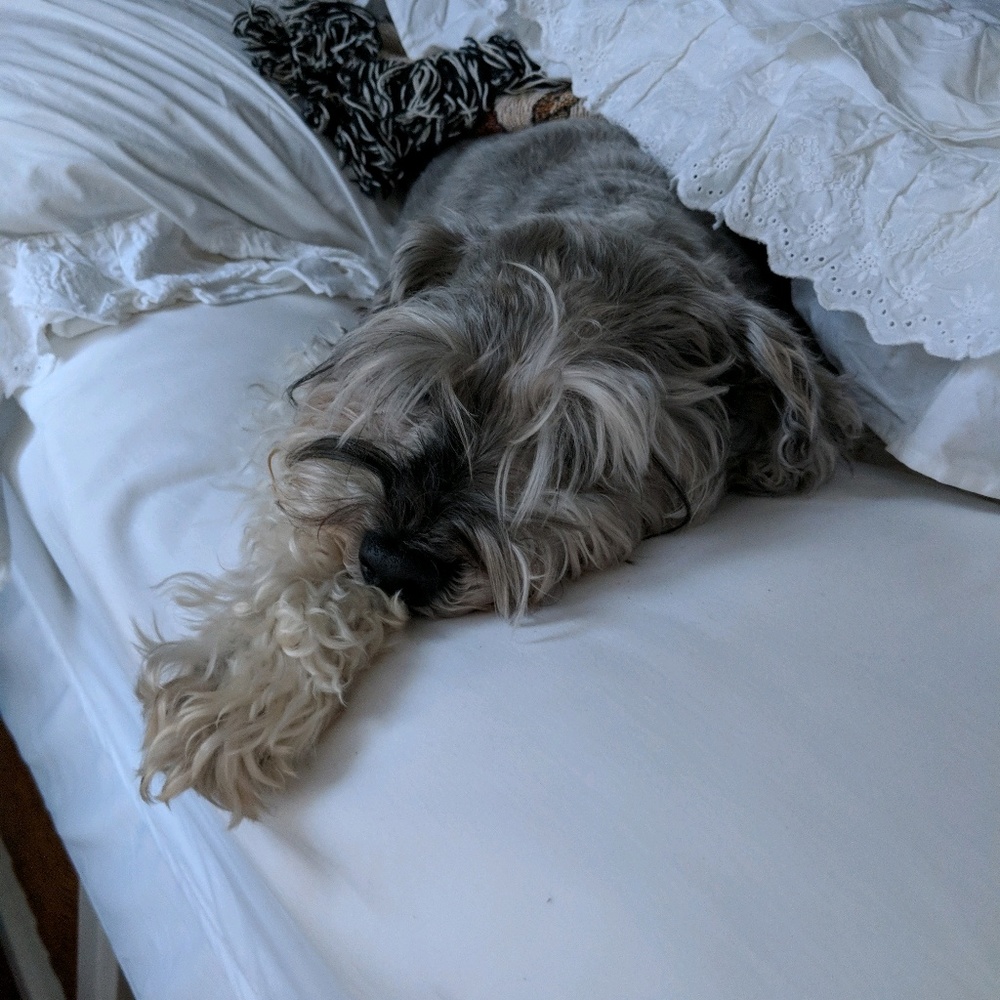 Meet your Posher, Samantha